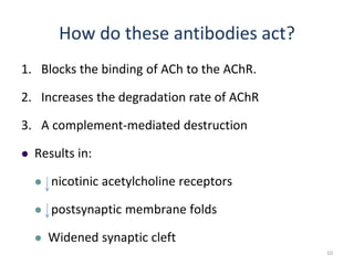How do these antibodies act?
1. Blocks the binding of ACh to the AChR.
2. Increases the degradation rate of AChR
3. A complement-mediated destruction
 Results in:
 nicotinic acetylcholine receptors
 postsynaptic membrane folds
 Widened synaptic cleft
10
 
