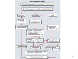 _________________
________________
47
 