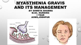 MYASTHENIA GRAVIS
AND ITS MANAGEMENT
-BY SHWETA SHARMA
M.SC. NURSING
I YEAR
AIIMS,JODHPUR
 