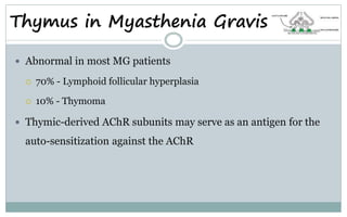 Thymus in Myasthenia Gravis
 Abnormal in most MG patients
 70% - Lymphoid follicular hyperplasia
 10% - Thymoma
 Thymic-derived AChR subunits may serve as an antigen for the
auto-sensitization against the AChR
 
