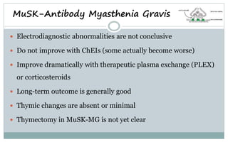 Electrodiagnostic abnormalities are not conclusive
 Do not improve with ChEIs (some actually become worse)
 Improve dramatically with therapeutic plasma exchange (PLEX)
or corticosteroids
 Long-term outcome is generally good
 Thymic changes are absent or minimal
 Thymectomy in MuSK-MG is not yet clear
MuSK-Antibody Myasthenia Gravis
 