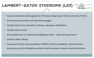 LAMBERT–EATON SYNDROME (LES)
 Immune-mediated attack against the P/Q type voltage-gated calcium channels (VGCC)
 Neuromuscular junction and Autonomic ganglia
 Gradual onset lower extremity weakness, autonomic dysfunction
 Usually after 40 years
 60% patients have an underlying malignancy (80% - small-cell lung cancer)
 Tendon reflexes absent
 Compound muscle action potentials (CMAPs) with low amplitude, which increases
during 20 to 50 Hz stimulation and after brief maximum voluntary muscle activation
 