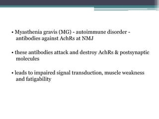 • Myasthenia gravis (MG) - autoimmune disorder -
antibodies against AchRs at NMJ
• these antibodies attack and destroy AchRs & postsynaptic
molecules
• leads to impaired signal transduction, muscle weakness
and fatigability
 