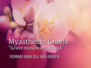 Myasthenia GravisMyasthenia Gravis
“Grave muscle weakness”“Grave muscle weakness”
YASHWANT KUMAR DILLI BABU-GROUP:8YASHWANT KUMAR DILLI BABU-GROUP:8
 