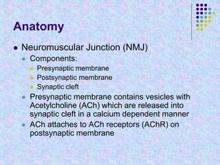 Anatomy
 Neuromuscular Junction (NMJ)
 Components:
 Presynaptic membrane
 Postsynaptic membrane
 Synaptic cleft
 Presynaptic membrane contains vesicles with
Acetylcholine (ACh) which are released into
synaptic cleft in a calcium dependent manner
 ACh attaches to ACh receptors (AChR) on
postsynaptic membrane
 