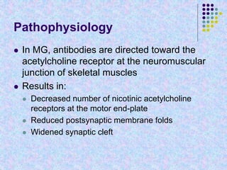 Pathophysiology
 In MG, antibodies are directed toward the
acetylcholine receptor at the neuromuscular
junction of skeletal muscles
 Results in:
 Decreased number of nicotinic acetylcholine
receptors at the motor end-plate
 Reduced postsynaptic membrane folds
 Widened synaptic cleft
 