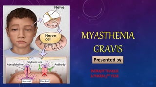MYASTHENIA
GRAVIS
Presented by
INDRAJITTHAKUR
b.PHARM3RD YEAR
 