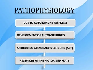 PATHOPHYSIOLOGY
DUE TO AUTOIMMUNE RESPONSE
DEVELOPMENT OF AUTOANTIBODIES
ANTIBODIES ATTACK ACETYLCHOLINE [ACT]
RECEPTORS AT THE MOTOR END PLATE
 