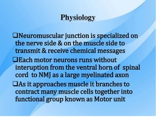 Physiology
Neuromuscular junction is specialized on
the nerve side & on the muscle side to
transmit & receive chemical messages
Each motor neurons runs without
interuption from the ventral horn of spinal
cord to NMJ as a large myelinated axon
As it approaches muscle it branches to
contract many muscle cells together into
functional group known as Motor unit
 