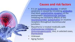 Causes and risk factors
• It is an autoimmune disorder, in which
weakness is caused by circulating antibodies
that block acetylcholine receptors at the
postsynaptic neuromuscular junction,
inhibiting the excitatory effects of the
neurotransmitter acetylcholine on nicotinic
receptors throughout neuromuscular
junctions.
• Myasthenia is treated medically with
cholinesterase inhibitors or
immunosuppressants, and, in selected cases,
thymectomy.
• Unknown
• Aging Factors
 