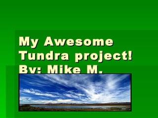 My Awesome Tundra project! By: Mike M. 