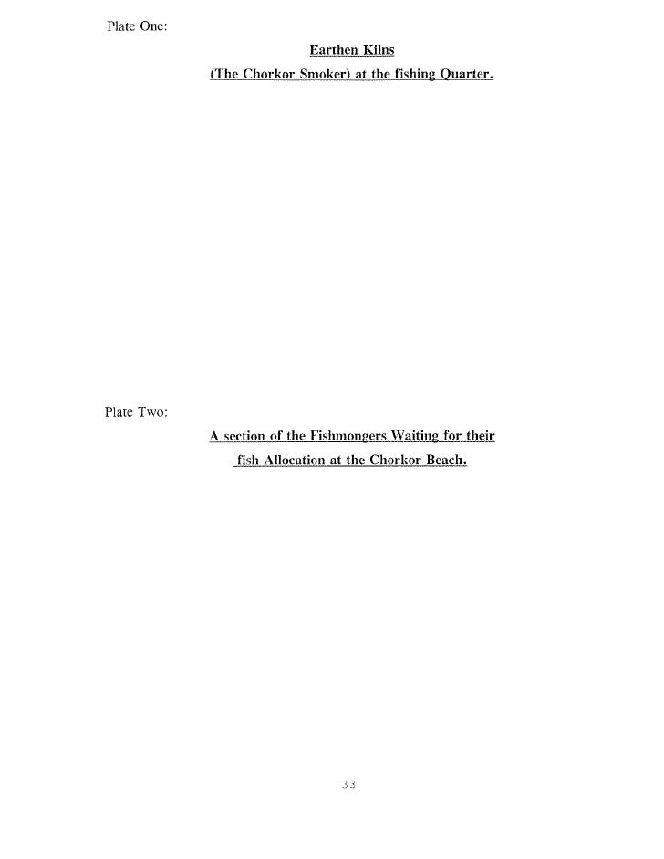 Dissertation vs Thesis: The Differences that Matter