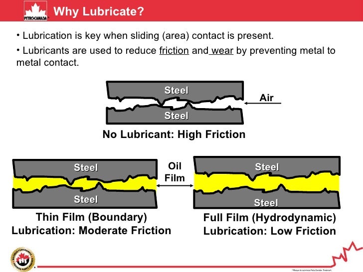 My Base Oil And Fundamentals Basic