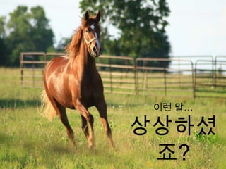 HAVE YOU EVER HEARD?플라톤의말(馬)이라고 들어본 적 있나요?우리는 ‘말(馬)’이라는 단어를 들으면 네 다리에 긴 꼬리, 근육질 목에 늘어진 멋진 갈기, 힘과 우아함, 그리고 사람을 등에 태워 먼 거리를 이동하게 하는 멋진 창조물을 떠올리게 된다. 개개의 말들은 각기 다르겠지만우리는 여전히 일반적인 ‘말다움’을 인식하게 된다. 또한 그 인식에 ‘말’이라고 생각하지 소나 자전거라고생각하지 않게 된다. 