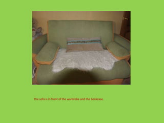 The sofa is in front of the wardrobe and the bookcase.
 