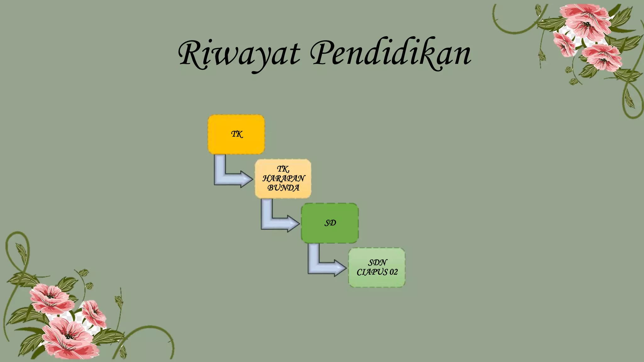 Riwayat Pendidikan
TK
TK.
HARAPAN
BUNDA
SD
SDN
CIAPUS 02