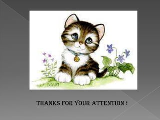 THANKS FOR YOUR ATTENTION !