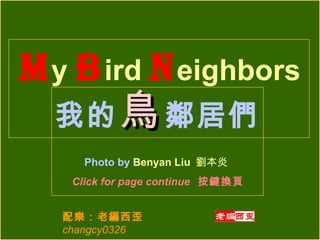 我的 鳥 鄰居們 Photo by  Benyan Liu  劉本炎 Click for page continue  按鍵換頁 M y  B ird  N eighbors 配樂：老編西歪  changcy0326 