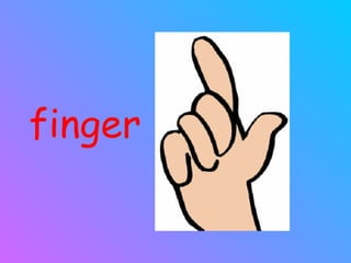 finger 