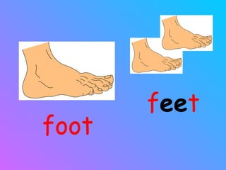 foot f ee t 