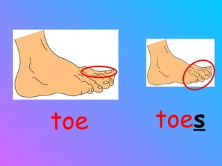 toe toe s 