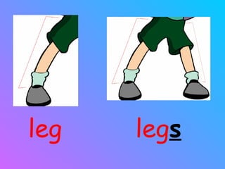 leg leg s 