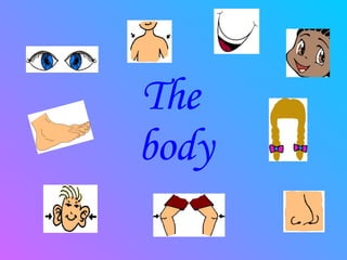 The  body 