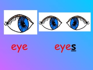 eye s eye 