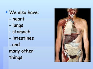 We also have: - heart - lungs - stomach - intestines …and many other things.  