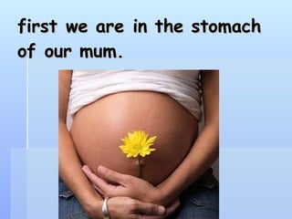 first we are in the stomach of our mum. 