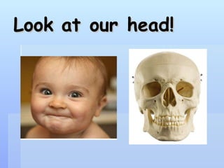 Look at our head! 