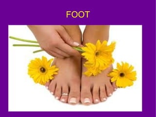 FOOT
 
