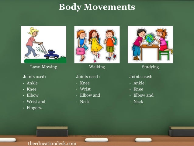 Environmental Science EVS Body Parts Class II 