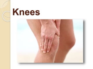Knees
 