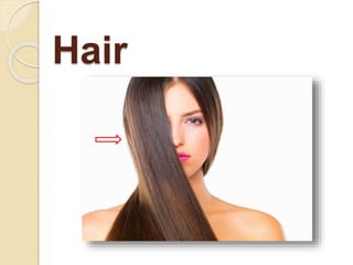 Hair
 