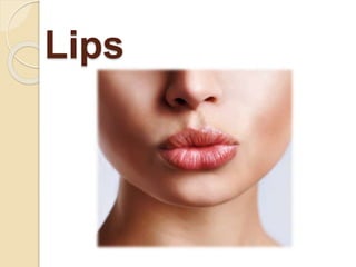 Lips
 