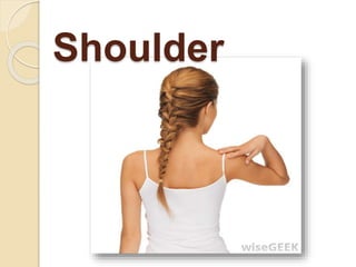 Shoulder
 