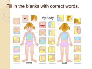 Fill in the blanks with correct words.
 