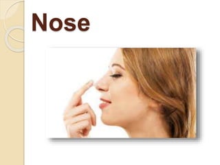 Nose
 