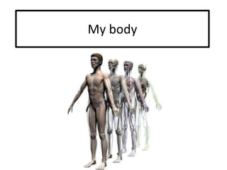 My body 
 