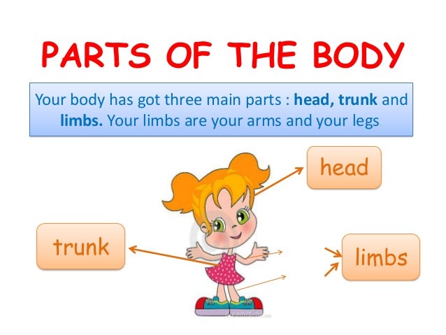 My Body 2 My Body 2