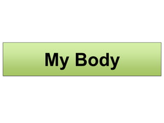 My Body

 