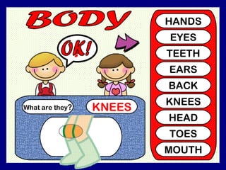 What are they ? KNEES ? HANDS EYES TEETH EARS BACK KNEES HEAD TOES MOUTH OK!