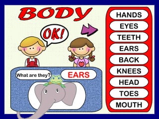 What are they ? EARS ? HANDS EYES TEETH EARS BACK KNEES HEAD TOES MOUTH OK!