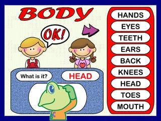What is it? HEAD ? HANDS EYES TEETH EARS BACK KNEES HEAD TOES MOUTH OK!
