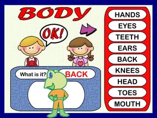 What is it? BACK ? HANDS EYES TEETH EARS BACK KNEES HEAD TOES MOUTH OK!