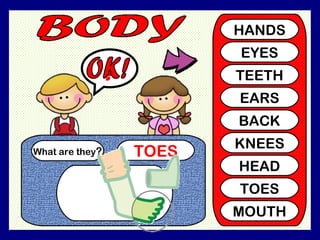 What are they ? TOES ? HANDS EYES TEETH EARS BACK KNEES HEAD TOES MOUTH OK!