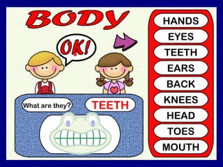 SHI What are they ? TEETH ? HANDS EYES TEETH EARS BACK KNEES HEAD TOES MOUTH OK!