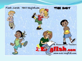 Aims: To present parts of the body Talking about parts of the body Skills: identifyinghead,shoulders,legs,arms,feet, hands,back,chest,face,eyes,ears,nose,mouth,teeth,knees,toes,elbow,hair Grammar: - singular/plural nouns                   - regular/irregular plural nouns 