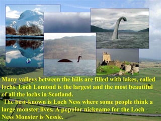 Many valleys between the hills are filled with lakes, called
lochs. Loch Lomond is the largest and the most beautiful
of all the lochs in Scotland.
The best-known is Loch Ness where some people think a
large monster lives. A popular nickname for the Loch
Ness Monster is Nessie.
 